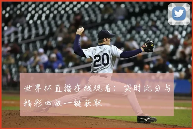 世界杯直播在线观看：实时比分与精彩回放一键获取